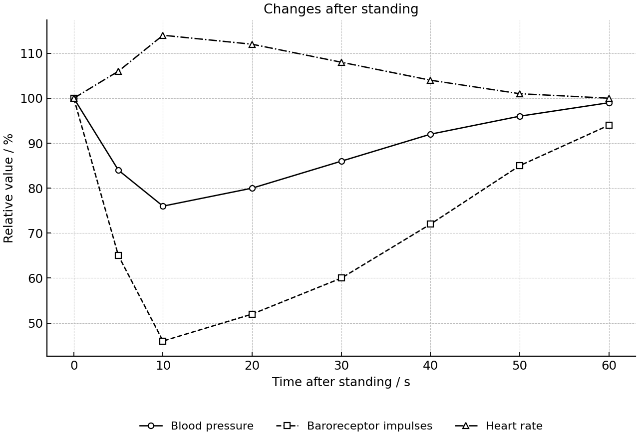 Relative changes in blood pressure, baroreceptor impulses and heart rate after standing.