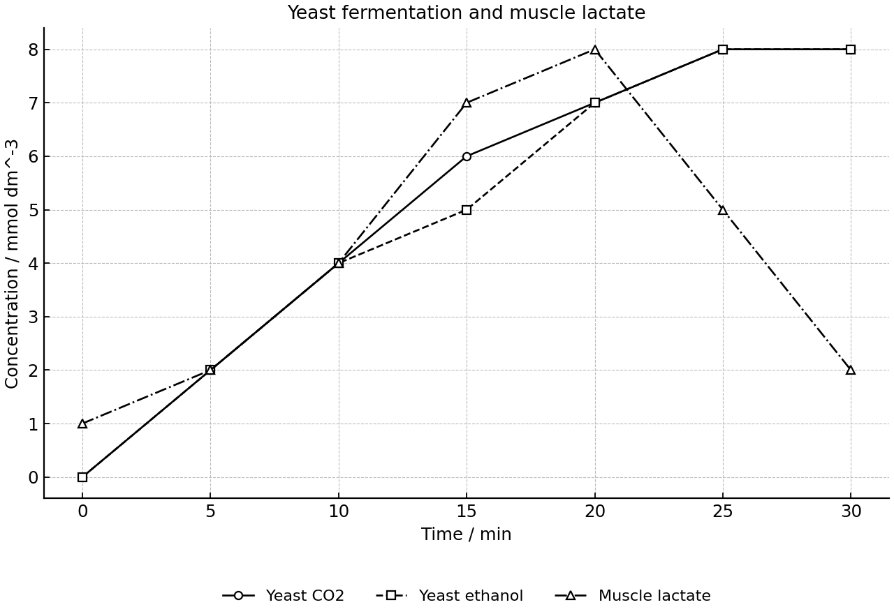 Time-course of yeast fermentation products and muscle lactate during exercise and recovery.