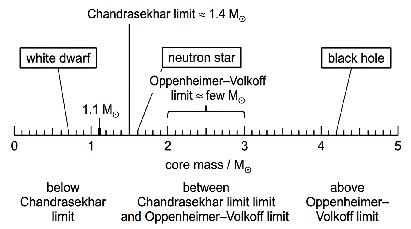 A flowchart showing stellar core mass on a horizontal scale in solar masses. Regions are labelled below the Chandrasekhar limit, between the Chandrasekhar limit and the Oppenheimer-Volkoff limit, and above the Oppenheimer-Volkoff limit. The corresponding possible remnants are indicated as white dwarf, neutron star and black hole. Boundary labels show the Chandrasekhar limit near 1.4 solar masses and the Oppenheimer-Volkoff limit as a range of a few solar masses.