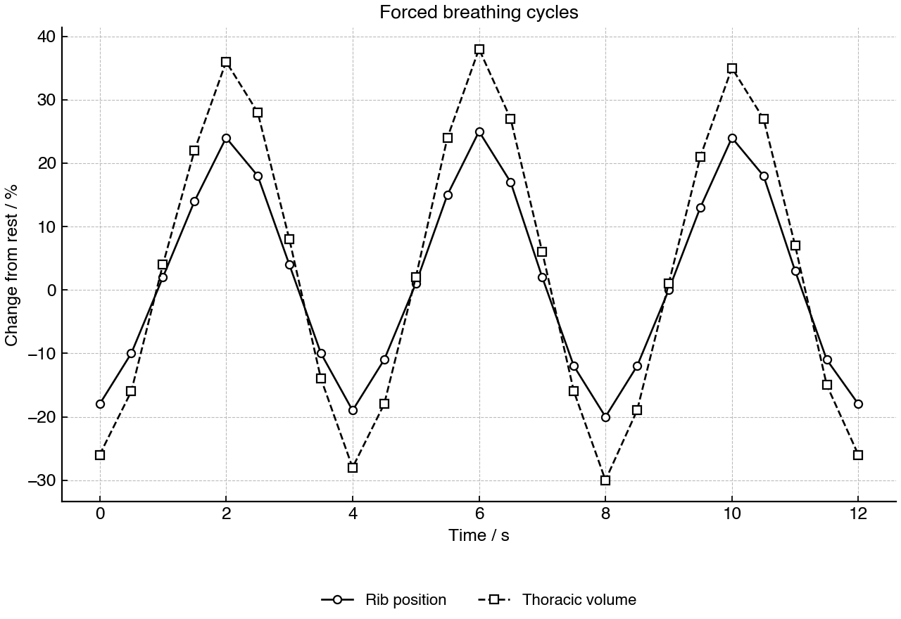 Normalized rib position and thoracic volume during repeated forced breathing cycles.
