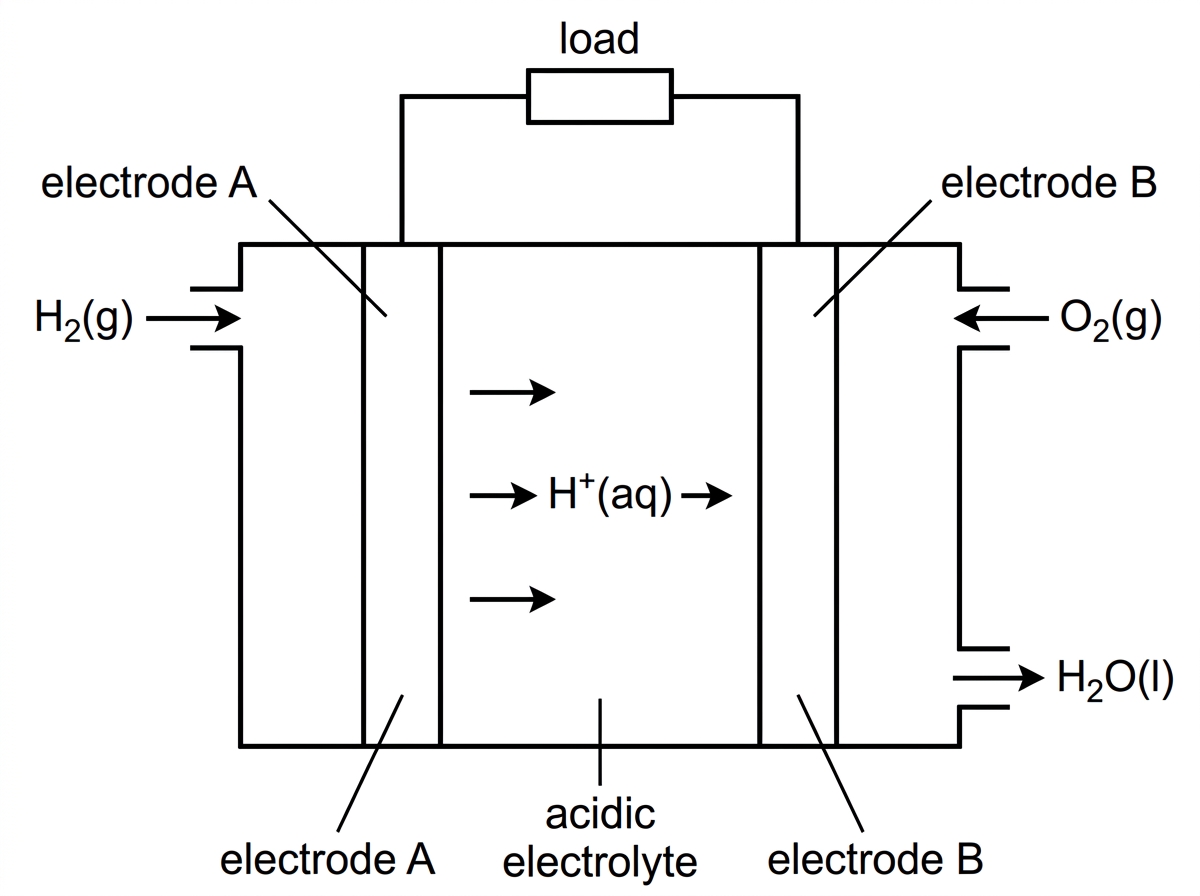 Labelled schematic of an acidic hydrogen fuel cell with hydrogen entering the anode, oxygen entering the cathode, water leaving, an external circuit with a load, and ion movement through an electrolyte; labels should not include the answers to the subparts.