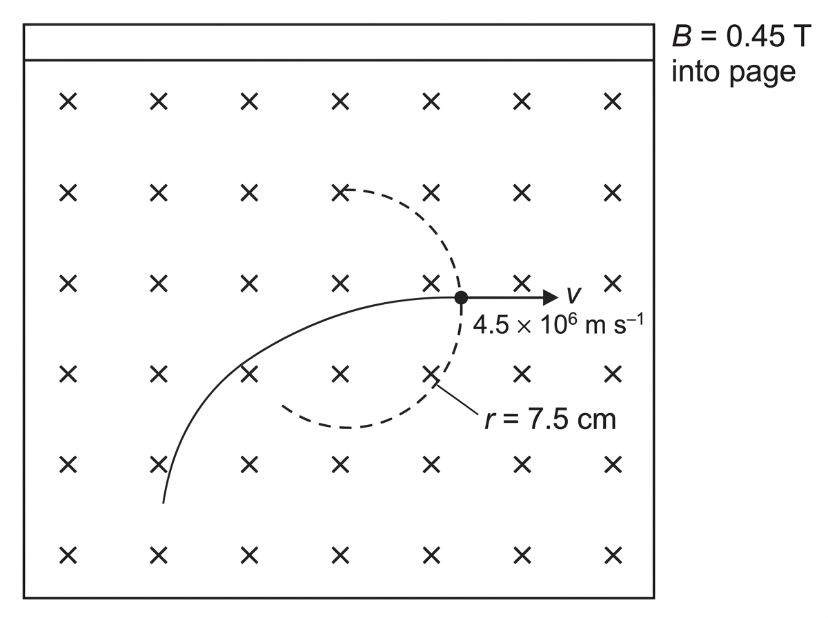 Cloud-chamber style diagram showing a curved track segment in a rectangular region of uniform magnetic field into the page. At one point on the track, a tangent velocity arrow points to the right. The local path bends upward from that point. The approximate radius is indicated with a construction arc but no centre-force arrow is shown.