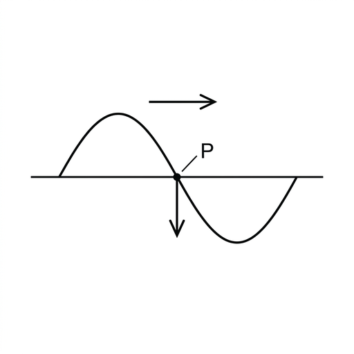A sinusoidal transverse wave on a horizontal string travelling to the right, indicated by an arrow above the wave. Point P is marked on a section of the wave where displacement decreases with distance to the right. A vertical arrow at P points downward. Use the same style, scale and labelling as the other options.