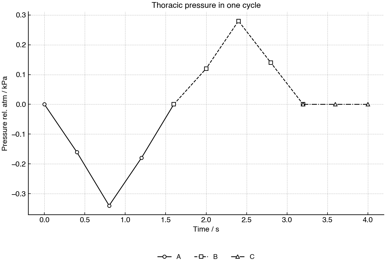 Line graph of thoracic pressure relative to atmospheric pressure during one breathing cycle, divided into intervals A, B and C.
