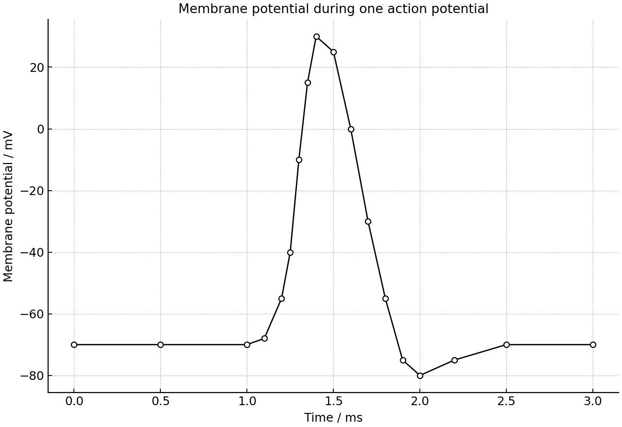 Oscilloscope trace of one action potential.