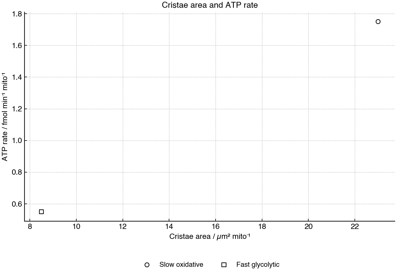 Scatter graph comparing cristae surface area and ATP production rate in two muscle fibre types.
