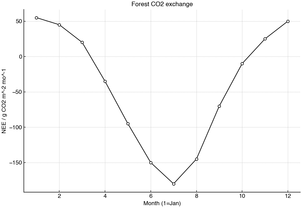 Monthly net ecosystem CO2 exchange for a temperate forest over one year.