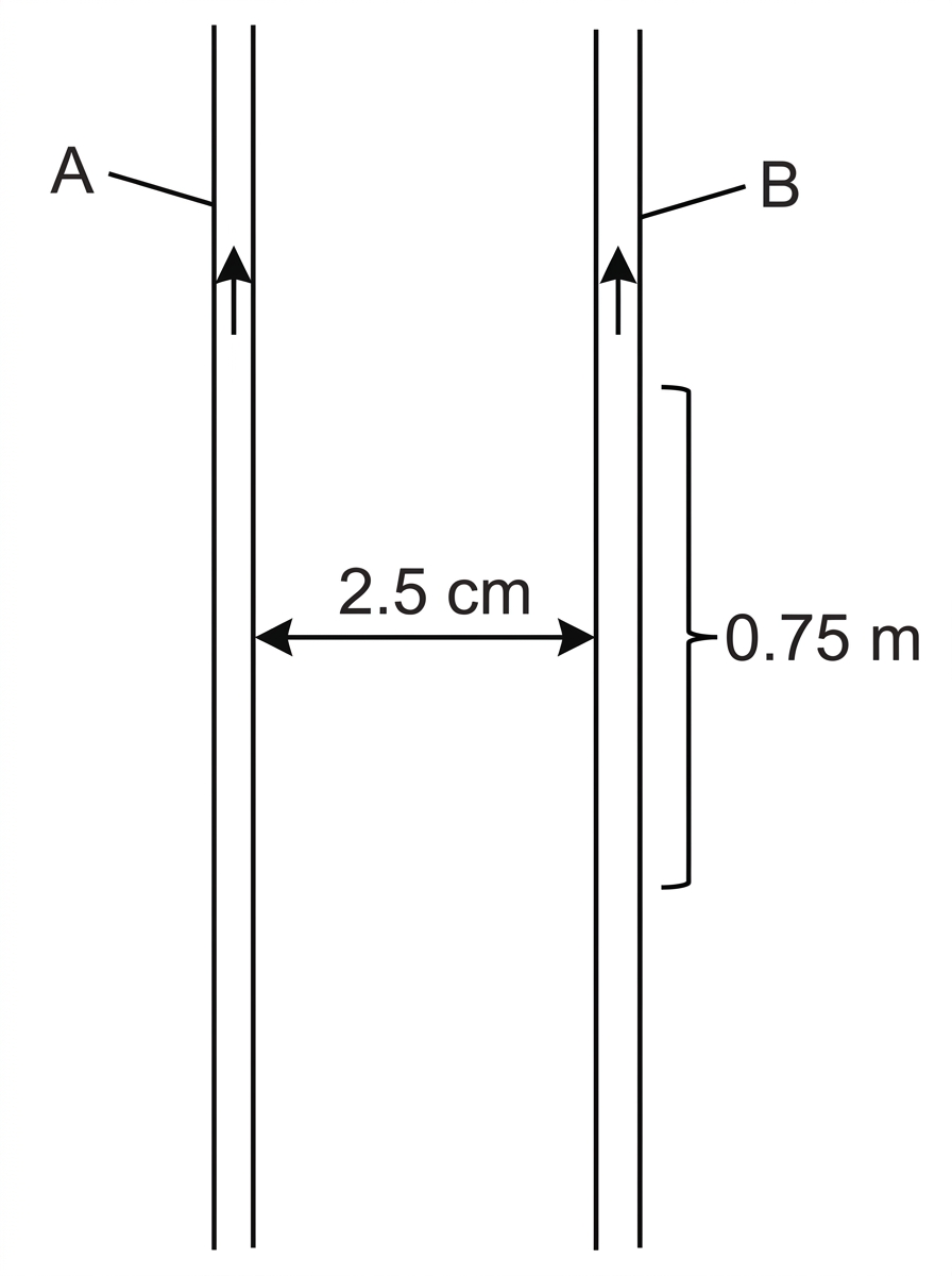 End-on or perspective diagram of two long parallel straight wires labelled A and B with equal spacing marked between them. Arrows on both wires show currents in the same direction. No force arrows are shown.