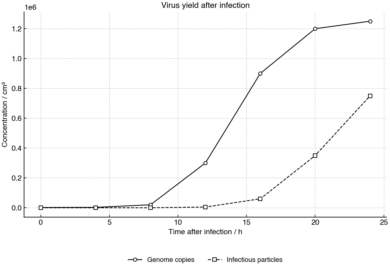 Changes in viral genome copies and infectious particles after infection of human cells.