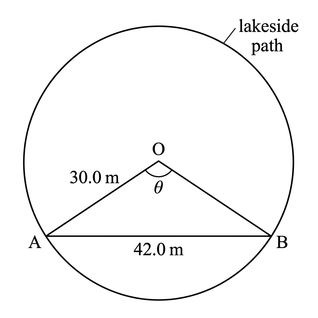 A circle of radius 30.0 m with chord AB of length 42.0 m, minor central angle theta and the major arc identified as the lakeside path.