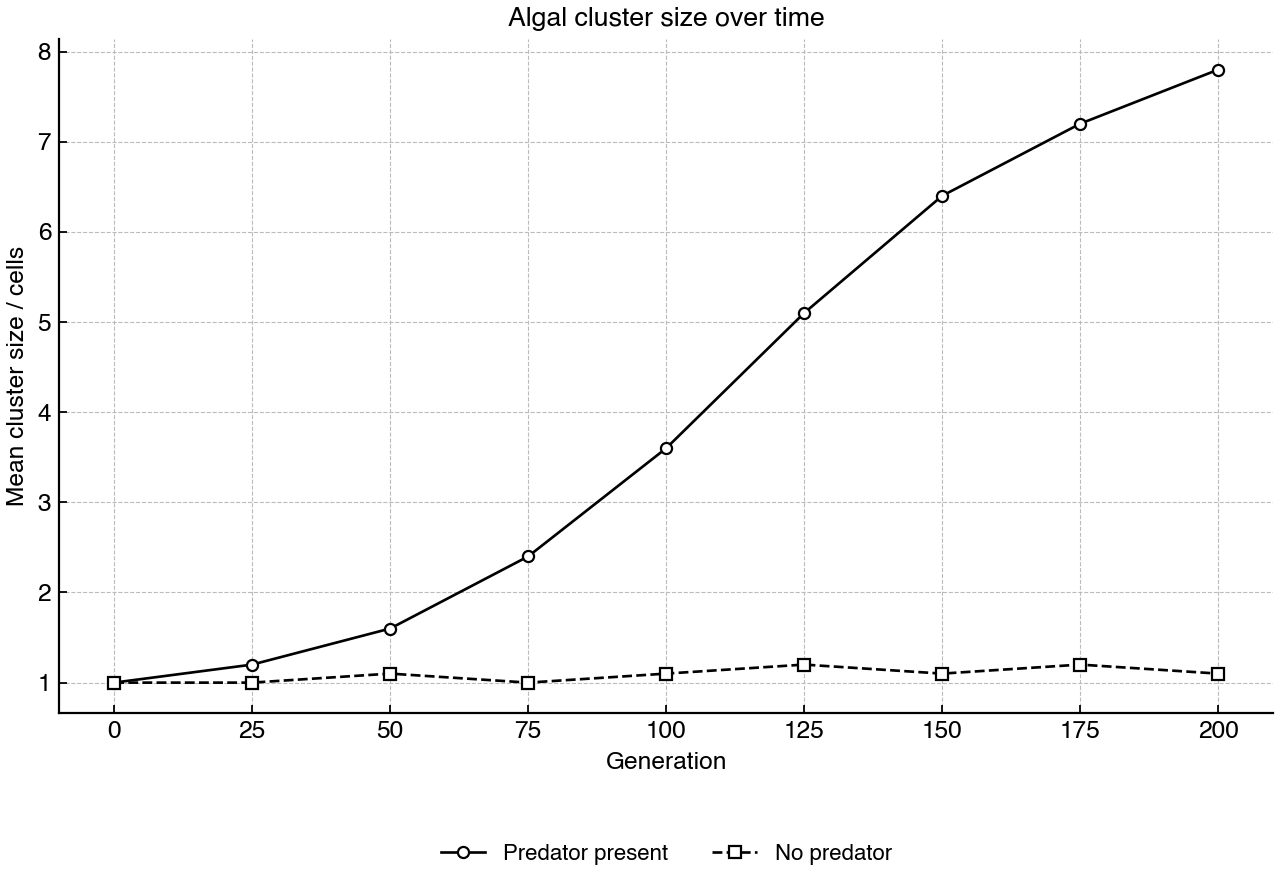 Mean cell cluster size in algal lineages grown with and without a filter-feeding predator over 200 generations.