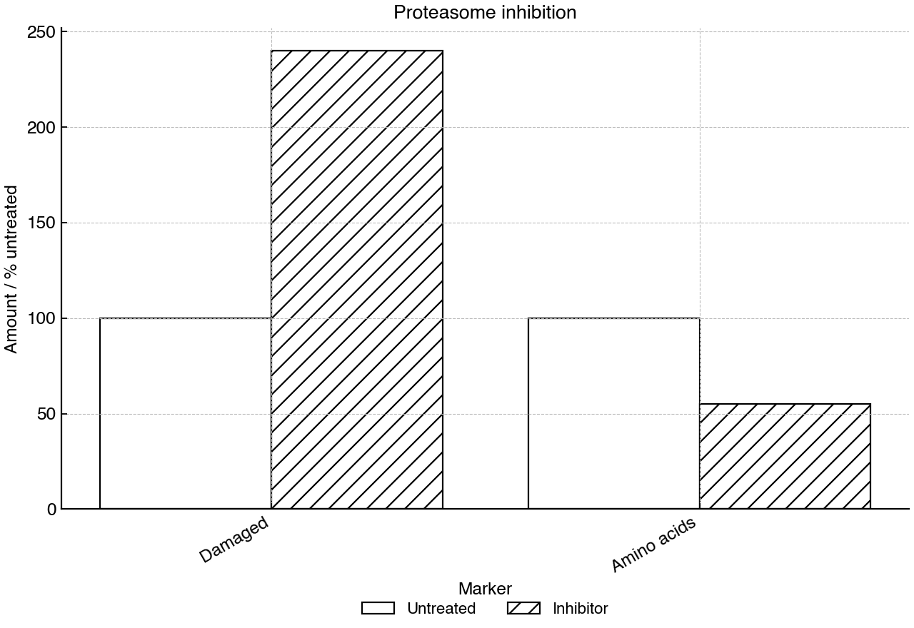 Grouped bar chart of two protein turnover markers in untreated and inhibitor-treated cells.