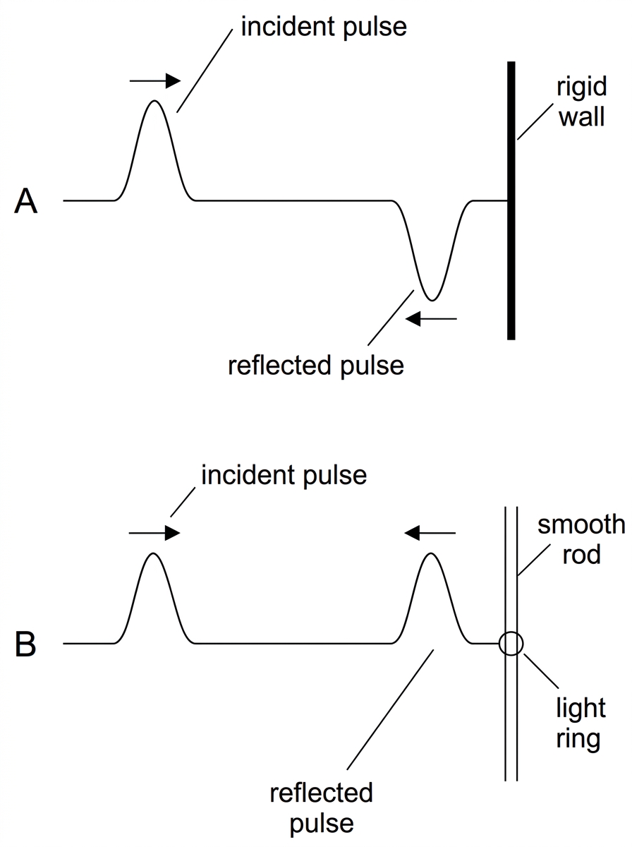 Two labelled diagrams of a transverse pulse on a string. In case A, the right-hand end of the string is attached to a rigid wall and the reflected pulse is shown after reflection. In case B, the right-hand end is attached to a light ring that can move vertically on a smooth rod and the reflected pulse is shown after reflection. The incident pulse is drawn with the same upward displacement in both cases; the reflected pulses show the effect of the boundary without explicitly labelling inversion.