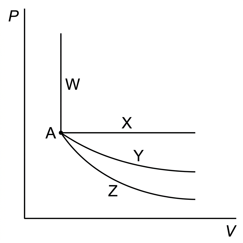 A pressure-volume graph with vertical axis labelled P and horizontal axis labelled V. A starting point A is shown. From A, four labelled paths are drawn: one vertical line upward, one horizontal line to the right, one gently decreasing curved line to the right, and one steeper decreasing curved line to the right through the same starting point. The paths are labelled W, X, Y and Z, but not named as processes.