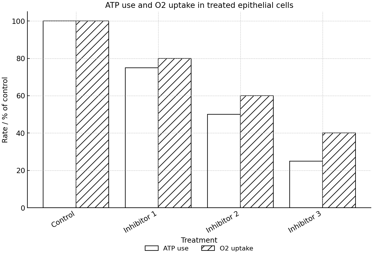ATP use and O2 uptake in treated epithelial cells.