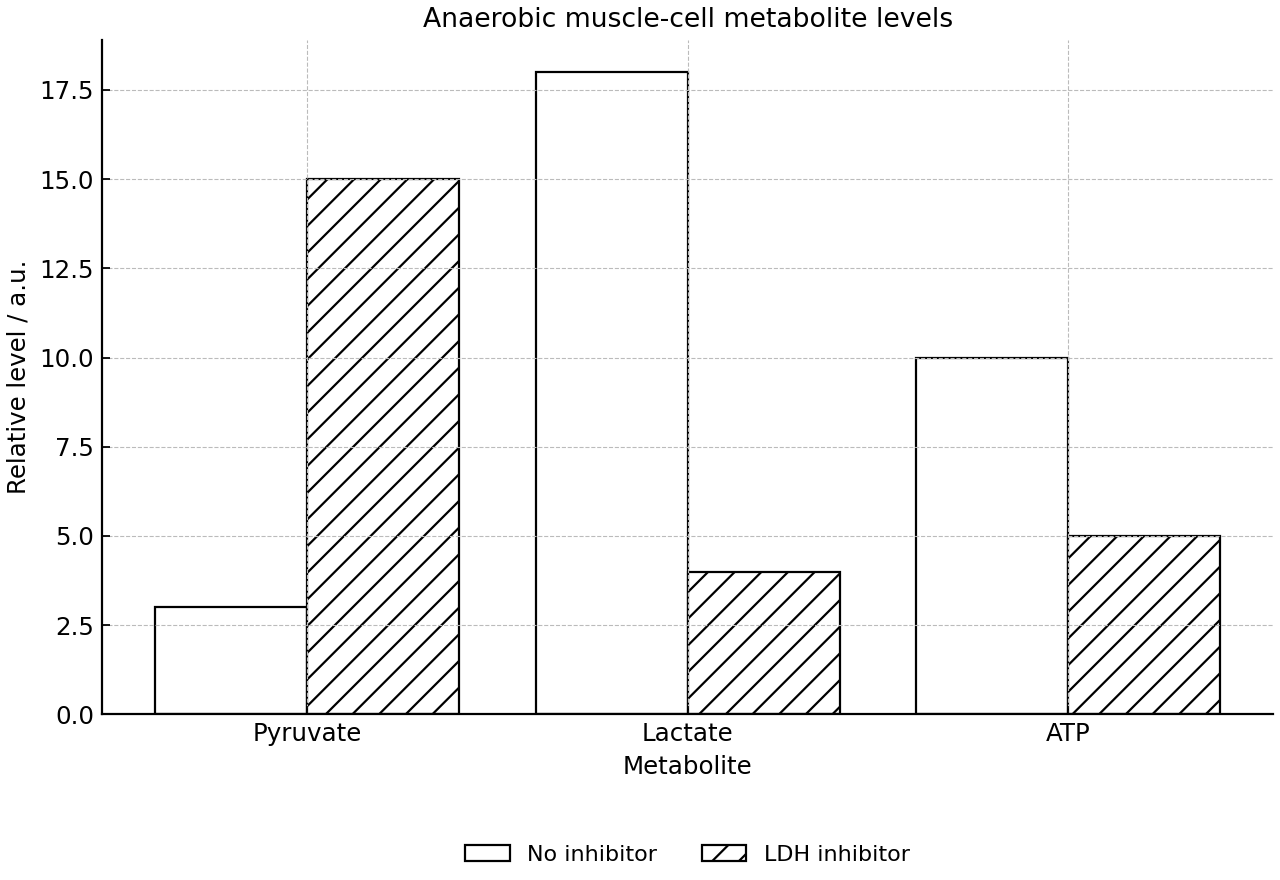 End-point pyruvate, lactate and ATP levels in anaerobic muscle cells.