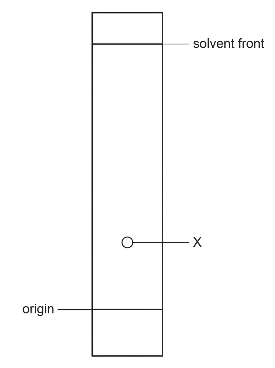 Paper chromatogram strip with an origin line near the base, a labelled pigment spot X above the origin, and a labelled solvent front near the top; distances are to be measurable from the origin but exact values are not printed on the visual.