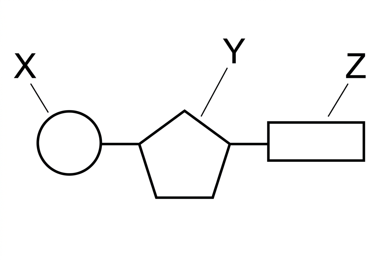 Simple nucleotide symbol diagram using a circle, pentagon and rectangle connected with the pentagon in the middle; labels X, Y and Z point separately to the circle, pentagon and rectangle without naming them.
