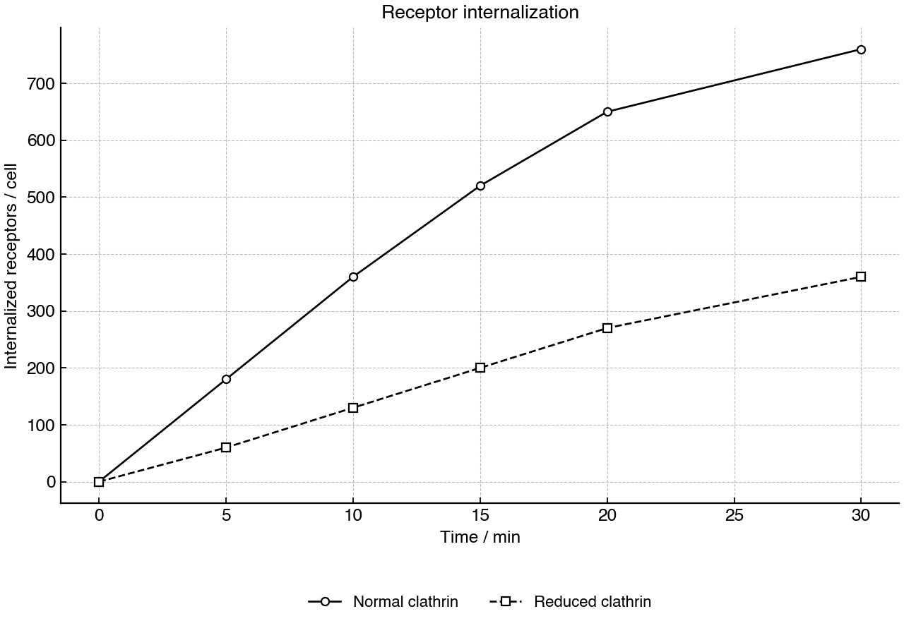 Line graph comparing receptor internalization over time in cells with normal and reduced clathrin expression.