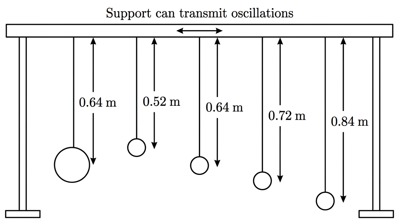 A horizontal support carrying one heavy driver pendulum and several lighter pendulums of different lengths. The driver pendulum is labelled with its length. The lighter pendulums are labelled only by their lengths or positions, with one having the same length as the driver. The support is shown able to transmit oscillations.