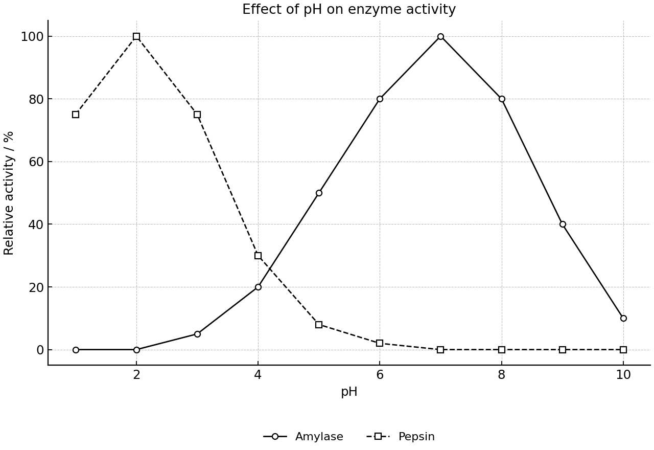 Line graph showing relative activity of pepsin and amylase across pH.