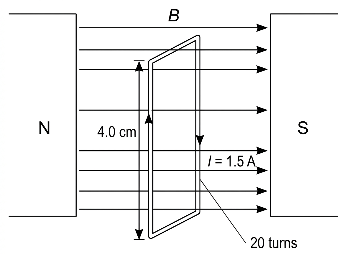 Front-view diagram of a rectangular current-carrying coil between the pole pieces of a magnet. The magnetic field is horizontal across the coil. Current arrows on the two vertical sides are in opposite directions. The lengths of the vertical sides are labelled. No force arrows or rotation direction are shown.