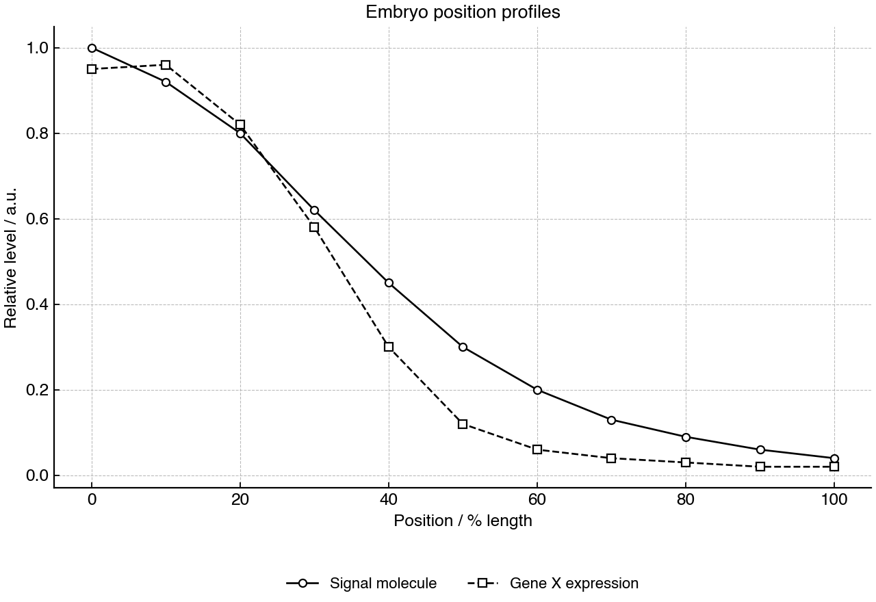 Relative signal concentration and gene X expression at positions along an early embryo.
