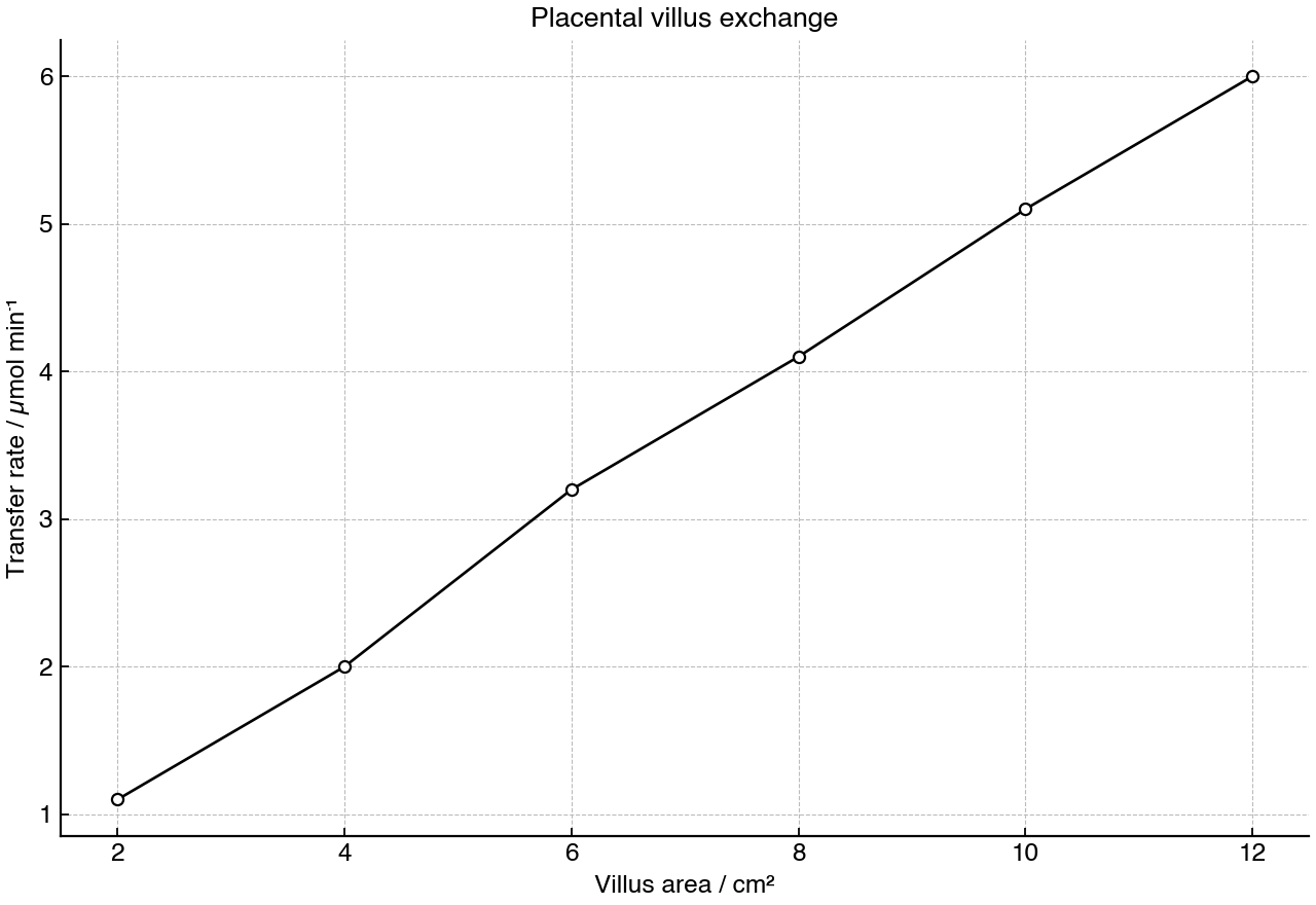 Transfer rate across placental villi at different villus surface areas.