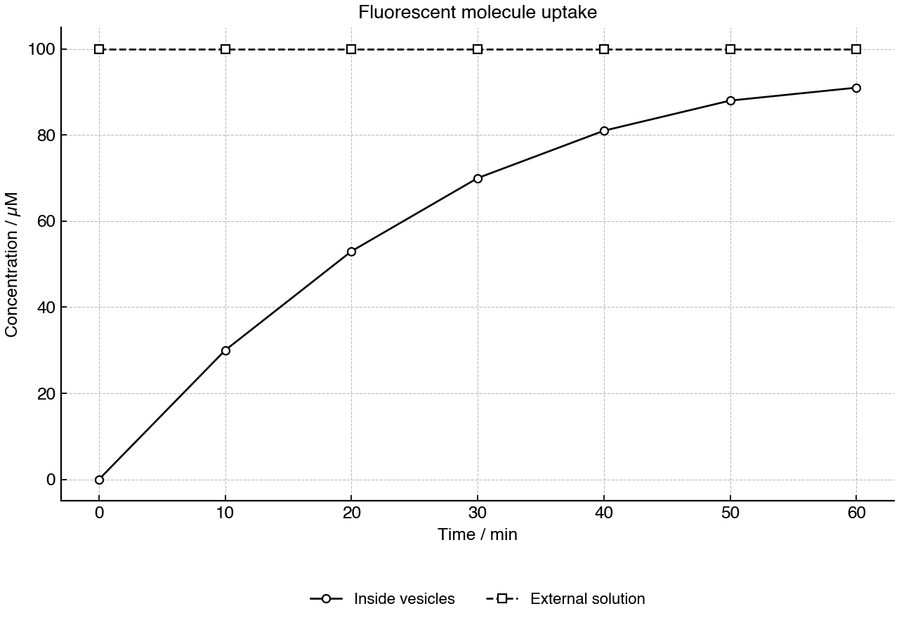 Line graph showing internal fluorescent molecule concentration in fatty-acid vesicles over time, with the external solution as a constant reference.