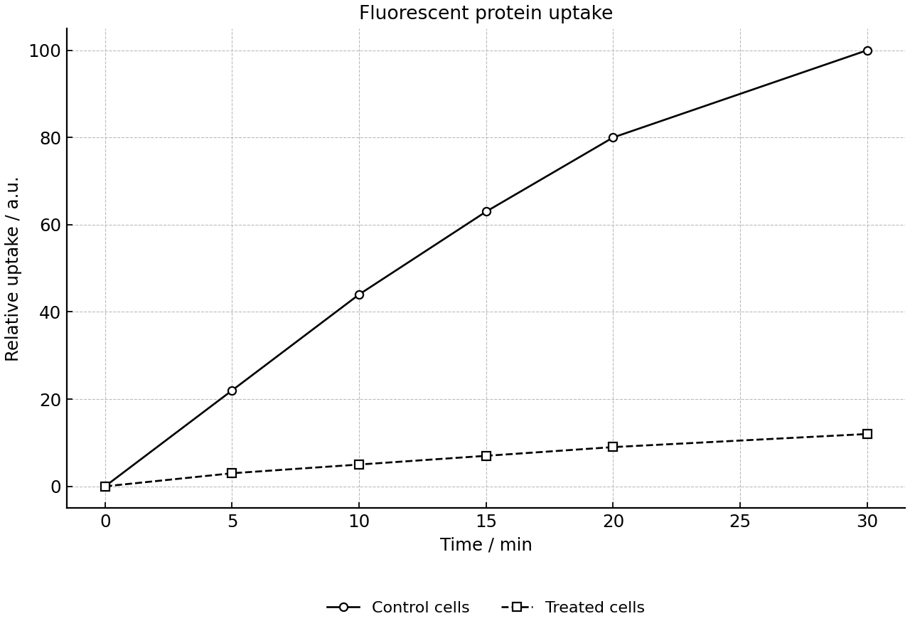 Time-course of fluorescent protein uptake in control and treated cells.