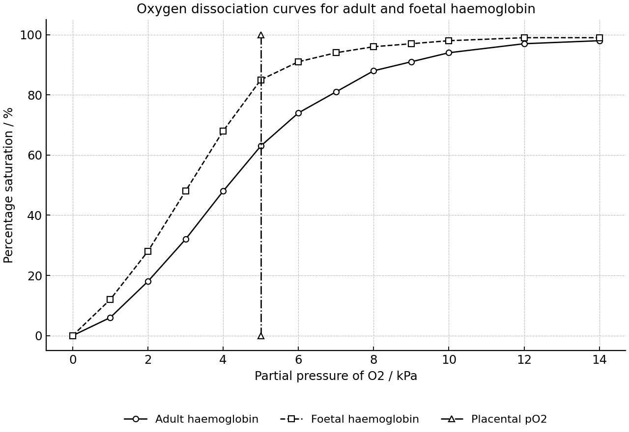 Oxygen dissociation curves for adult and foetal haemoglobin at normal carbon dioxide concentration.