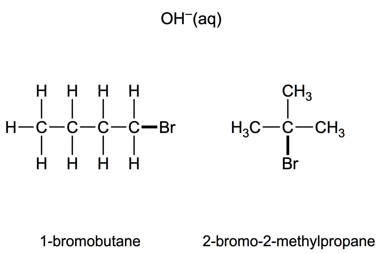 Displayed structural formulas of 1-bromobutane and 2-bromo-2-methylpropane shown side by side, each with the C-Br bond highlighted. Hydroxide ion should be shown as a reagent. No mechanisms, transition states or products should be shown.