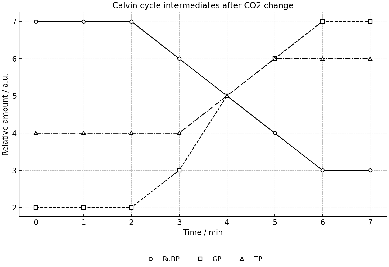 Relative amounts of three Calvin cycle intermediates over time after a CO2 increase.