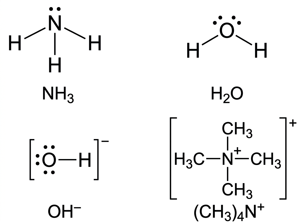 Displayed Lewis-style structures of NH₃, H₂O, OH⁻ and (CH₃)₄N⁺, showing relevant lone pairs or their absence.