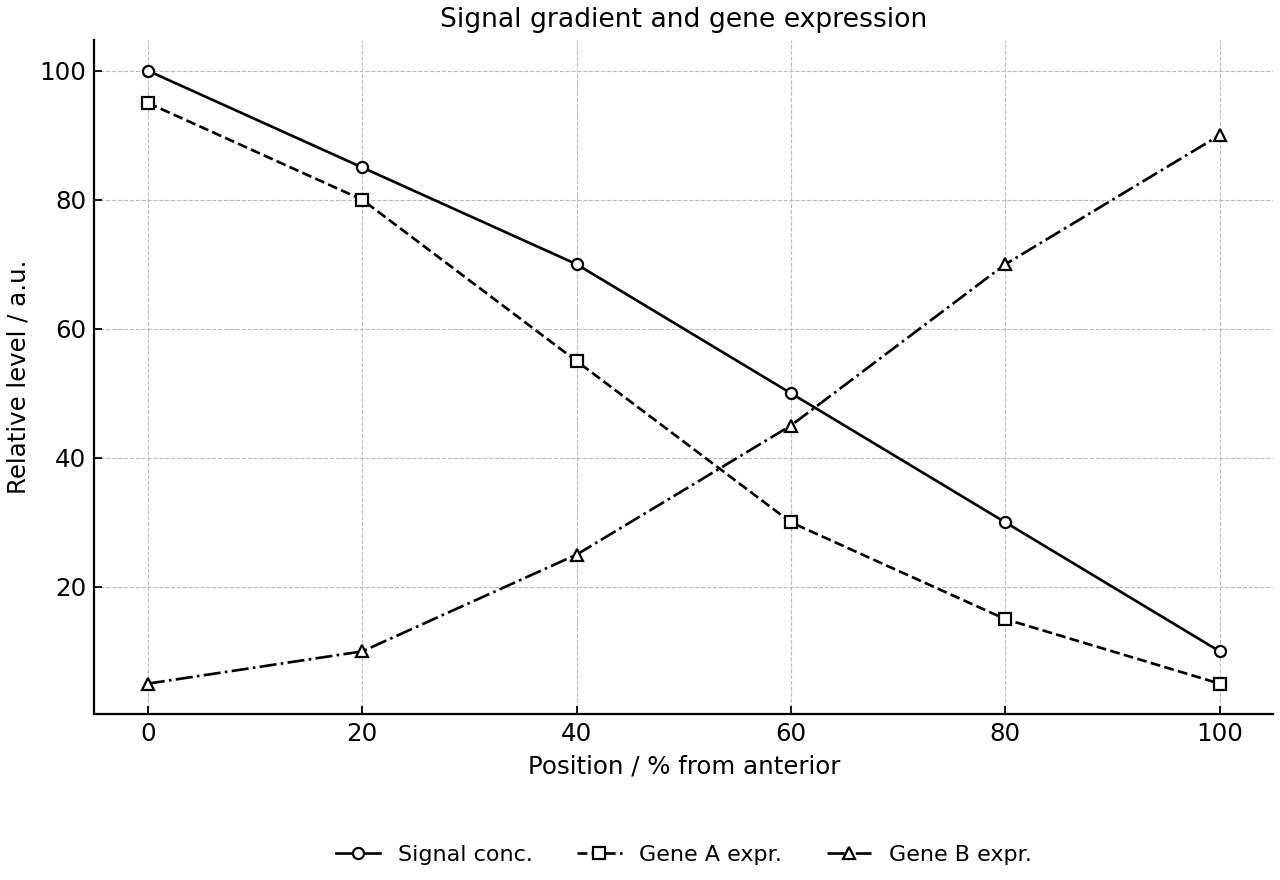Signal concentration and two gene-expression patterns along an embryo axis.