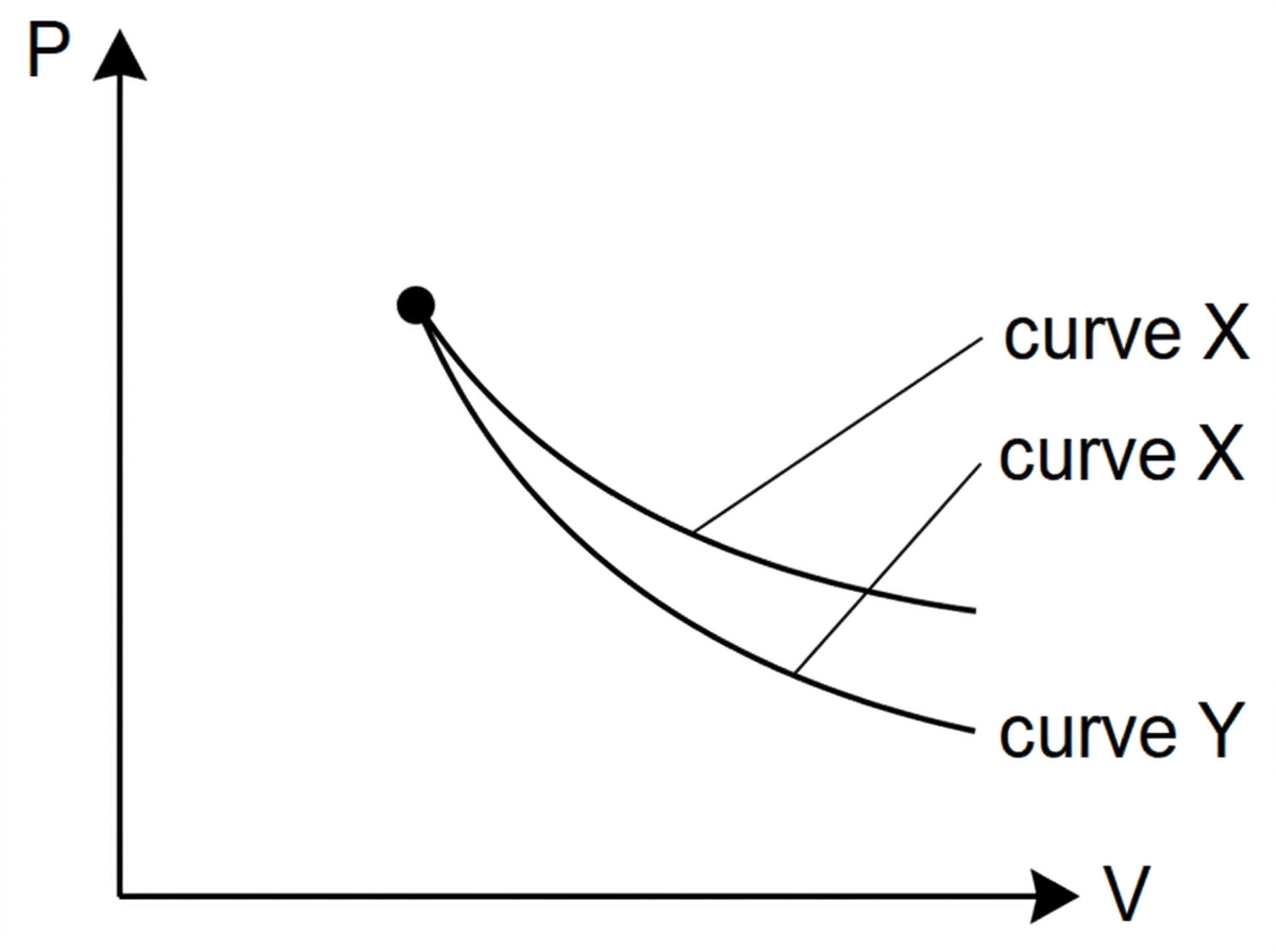 P–V axes showing one initial state with two possible expansion curves starting from it; the curves are labelled only as curve X and curve Y, without indicating which is adiabatic.