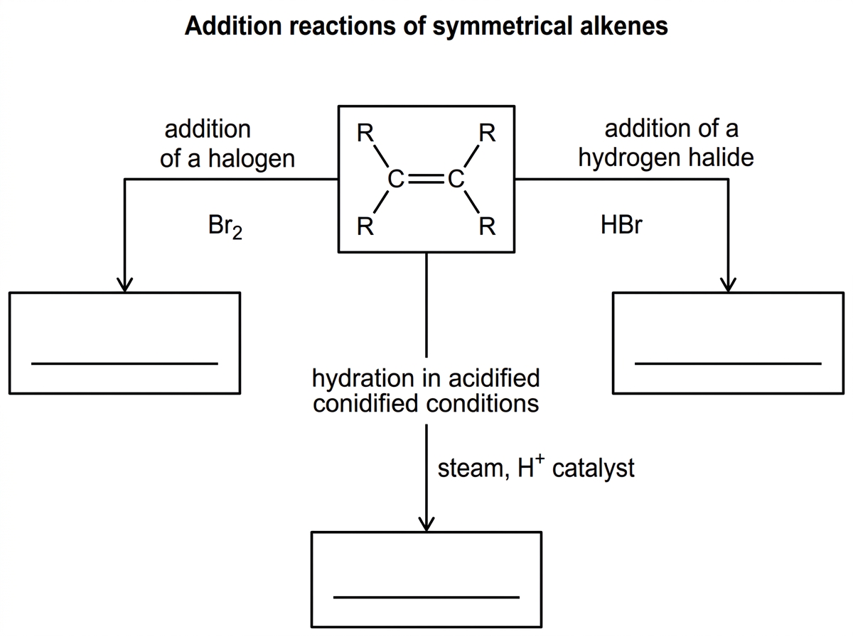 A flowchart showing a symmetrical alkene at the centre with three branches labelled addition of a halogen, addition of a hydrogen halide, and hydration in acidified conditions. Reagents are shown on each branch, but product names and formulas are left blank.