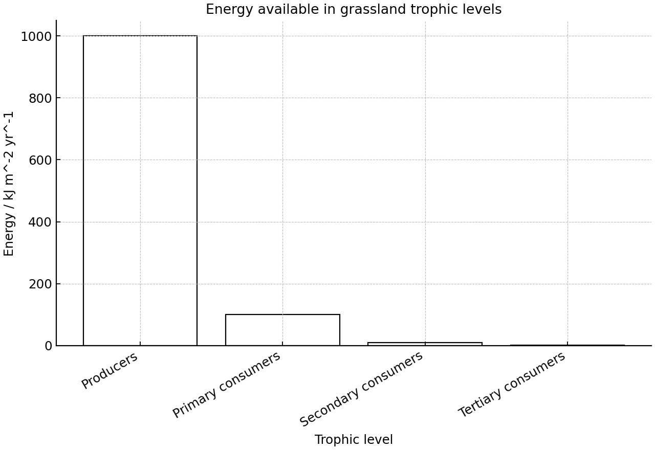 Energy available at successive trophic levels in a grassland food chain.