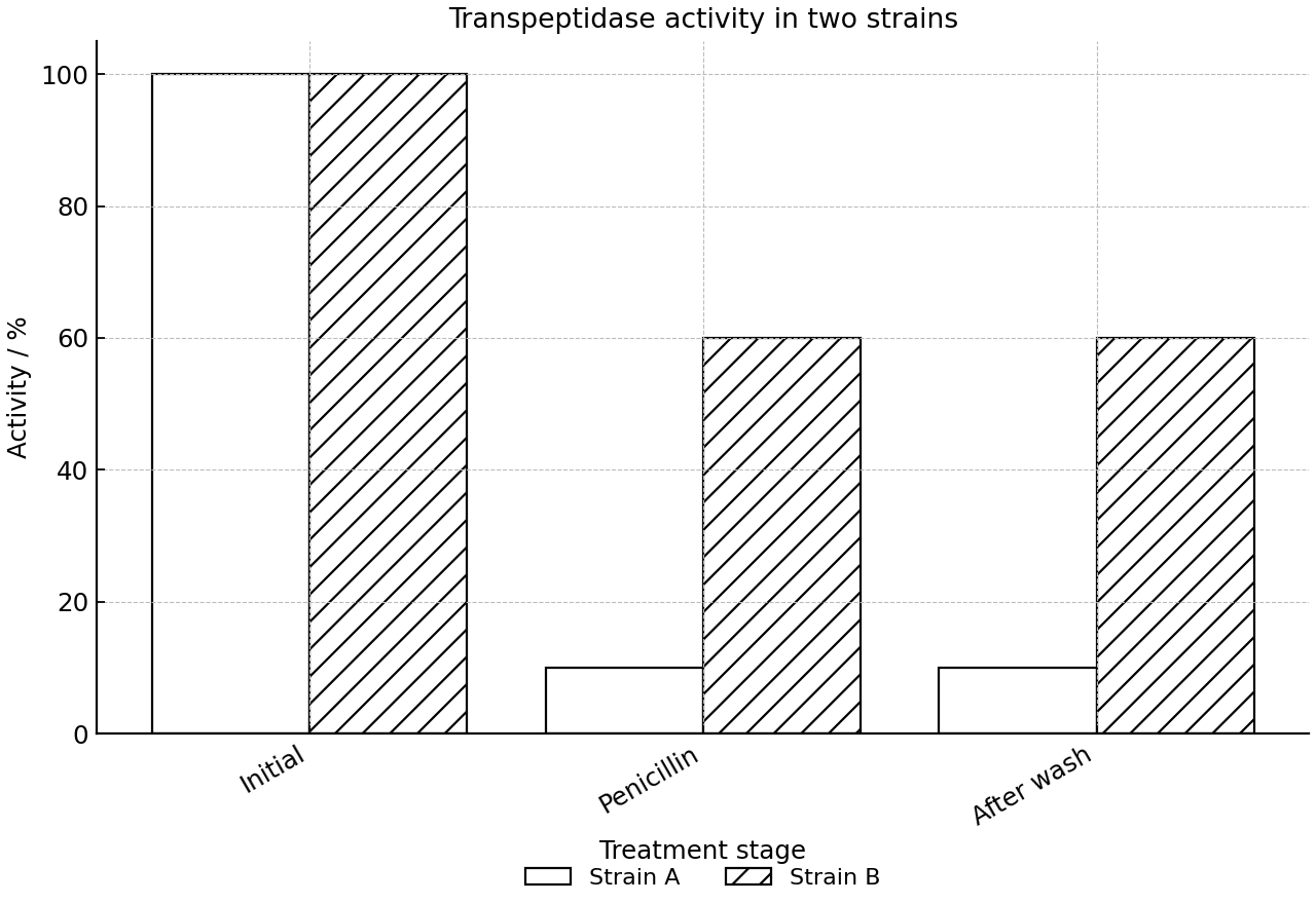 Bar chart of transpeptidase activity in two bacterial strains across treatment stages.