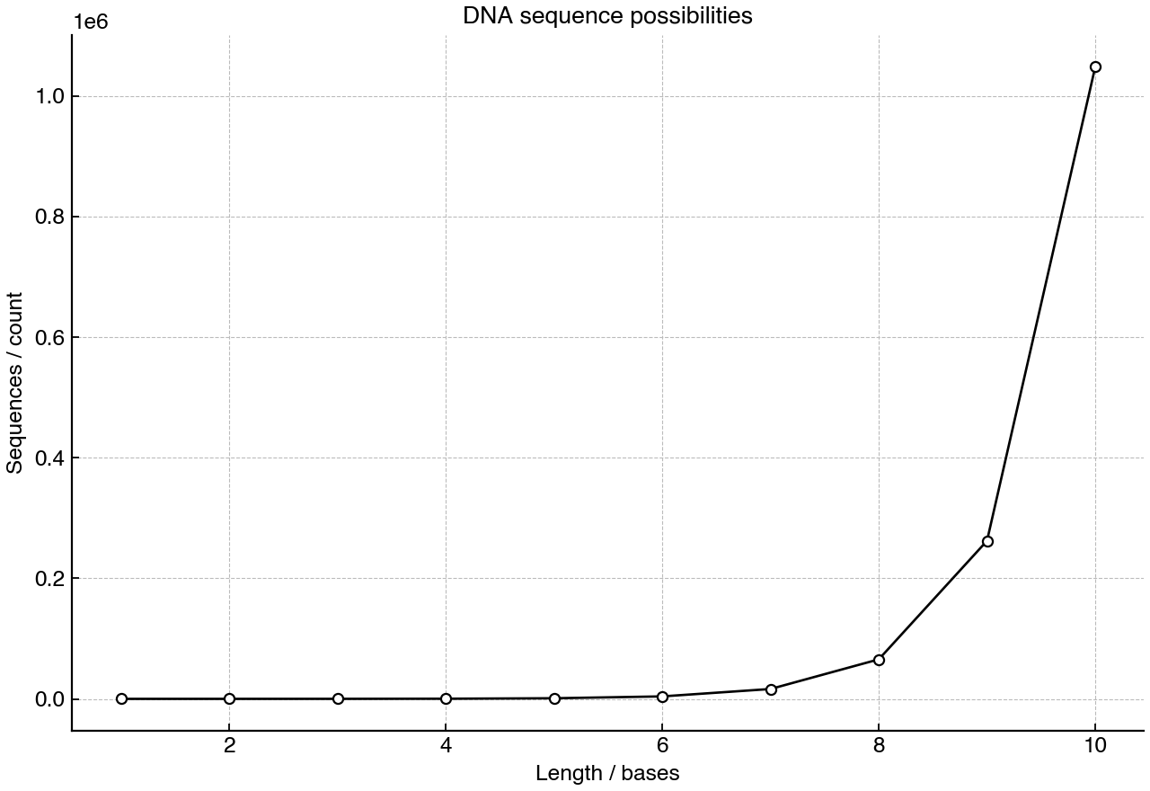 Number of possible DNA base sequences for molecules of increasing length.