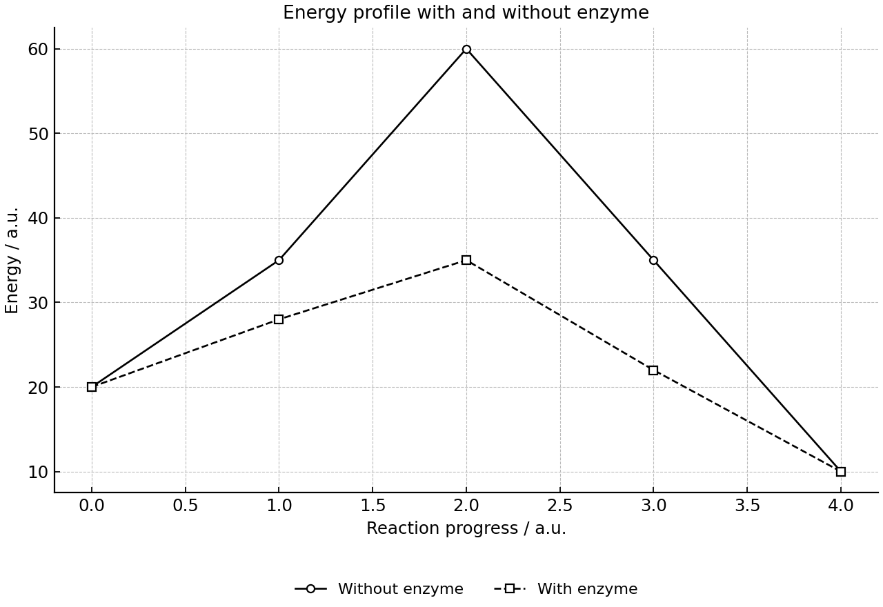 Energy profile of a reaction with and without an enzyme.