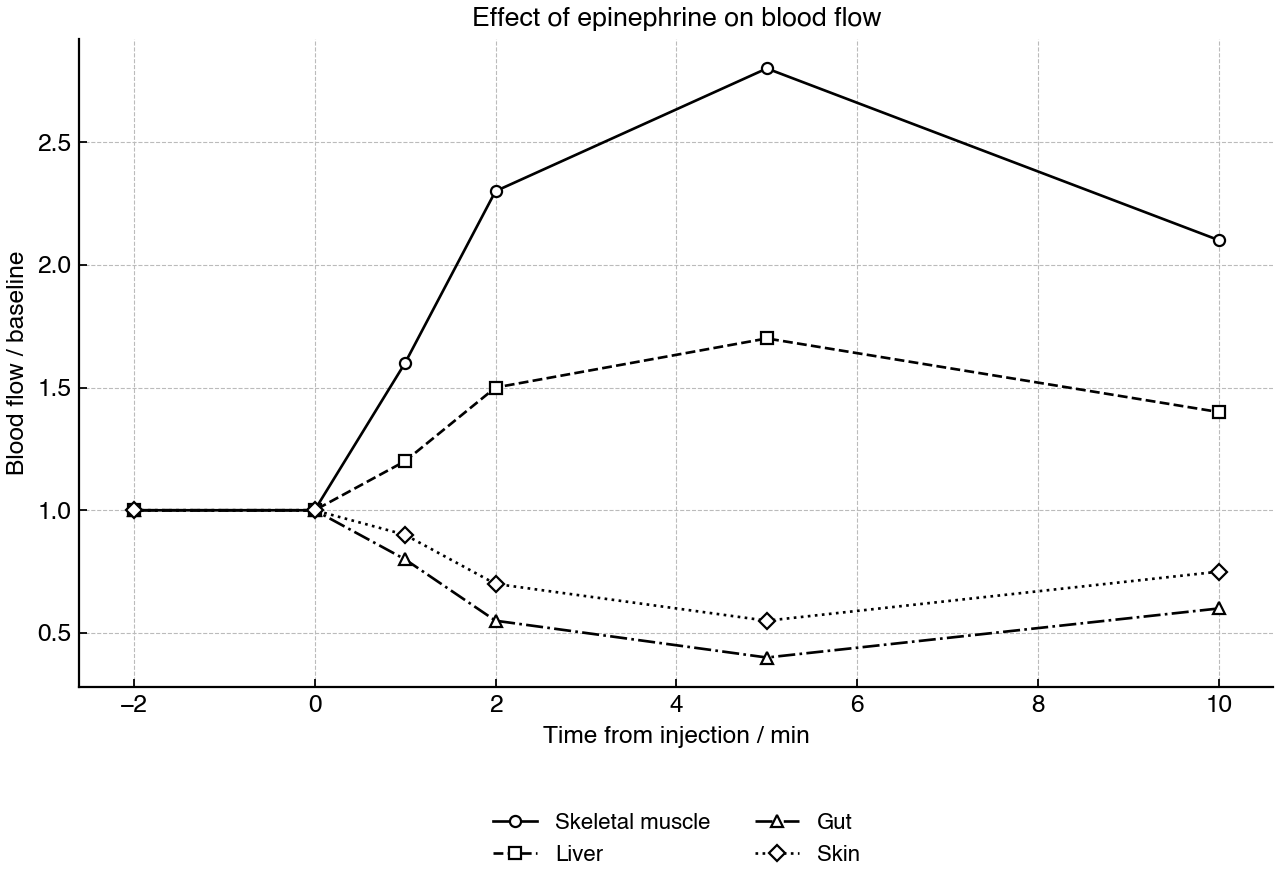 Line graph showing relative blood flow to selected organs after epinephrine injection.