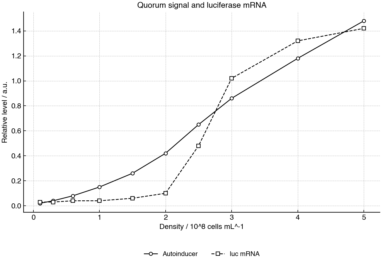 Autoinducer and luciferase mRNA levels as bacterial density increases.