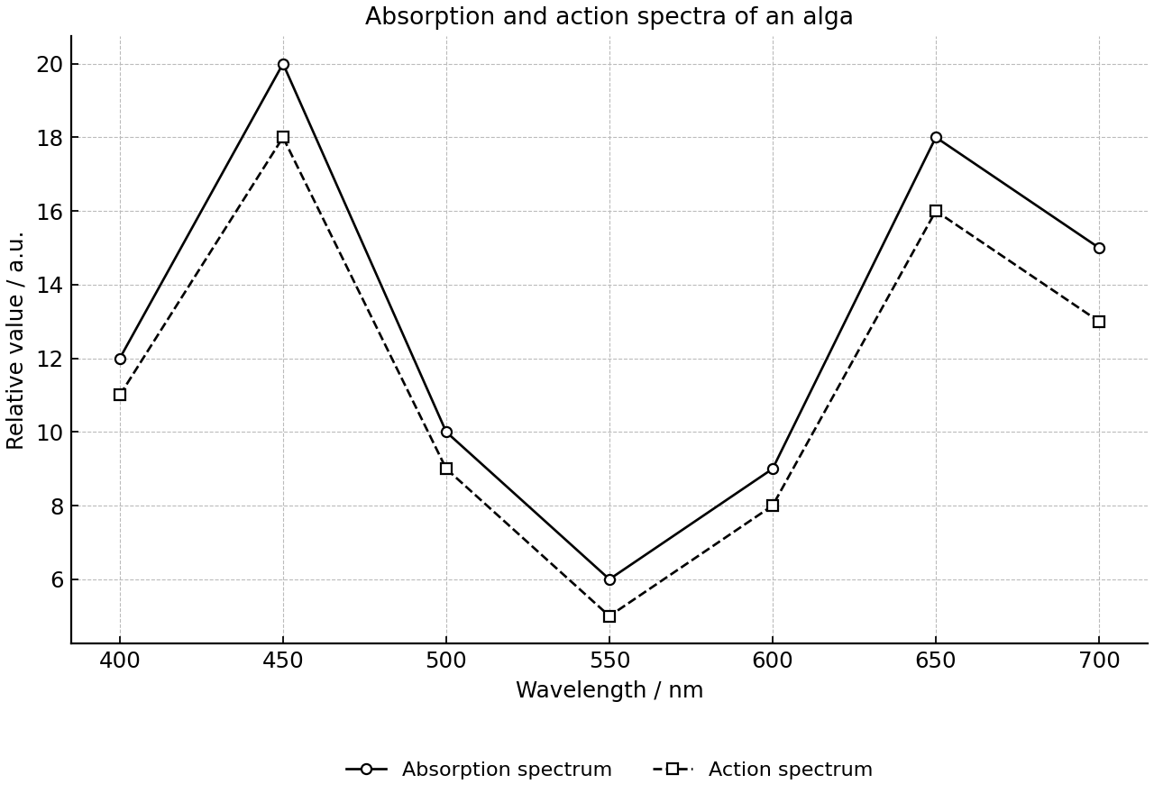 Absorption and action spectra of an alga.