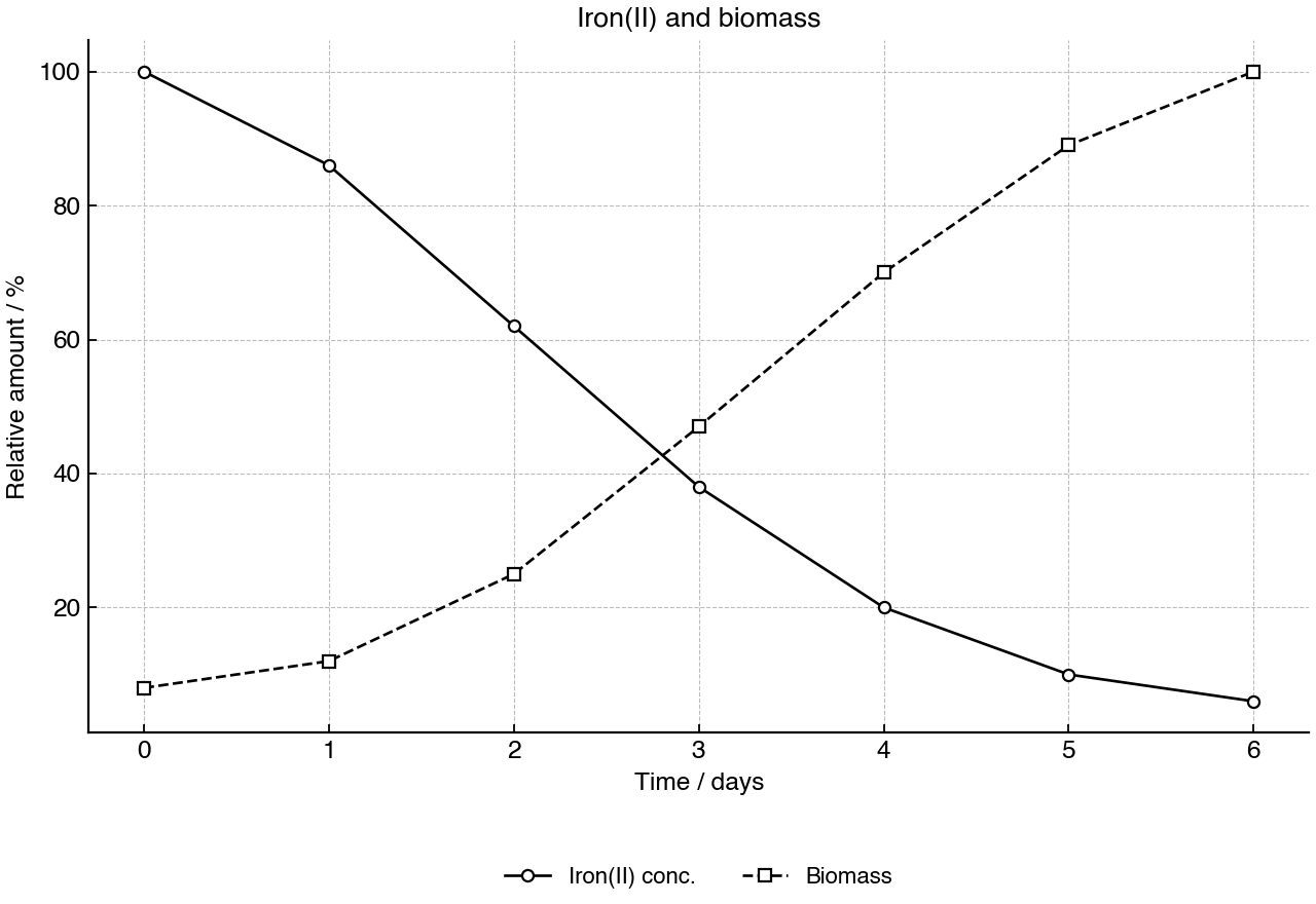 Changes in normalized iron(II) concentration and bacterial biomass during growth in acidic water.