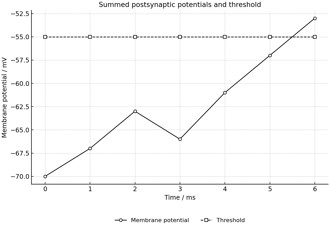 Postsynaptic membrane potential after several inputs compared with threshold.