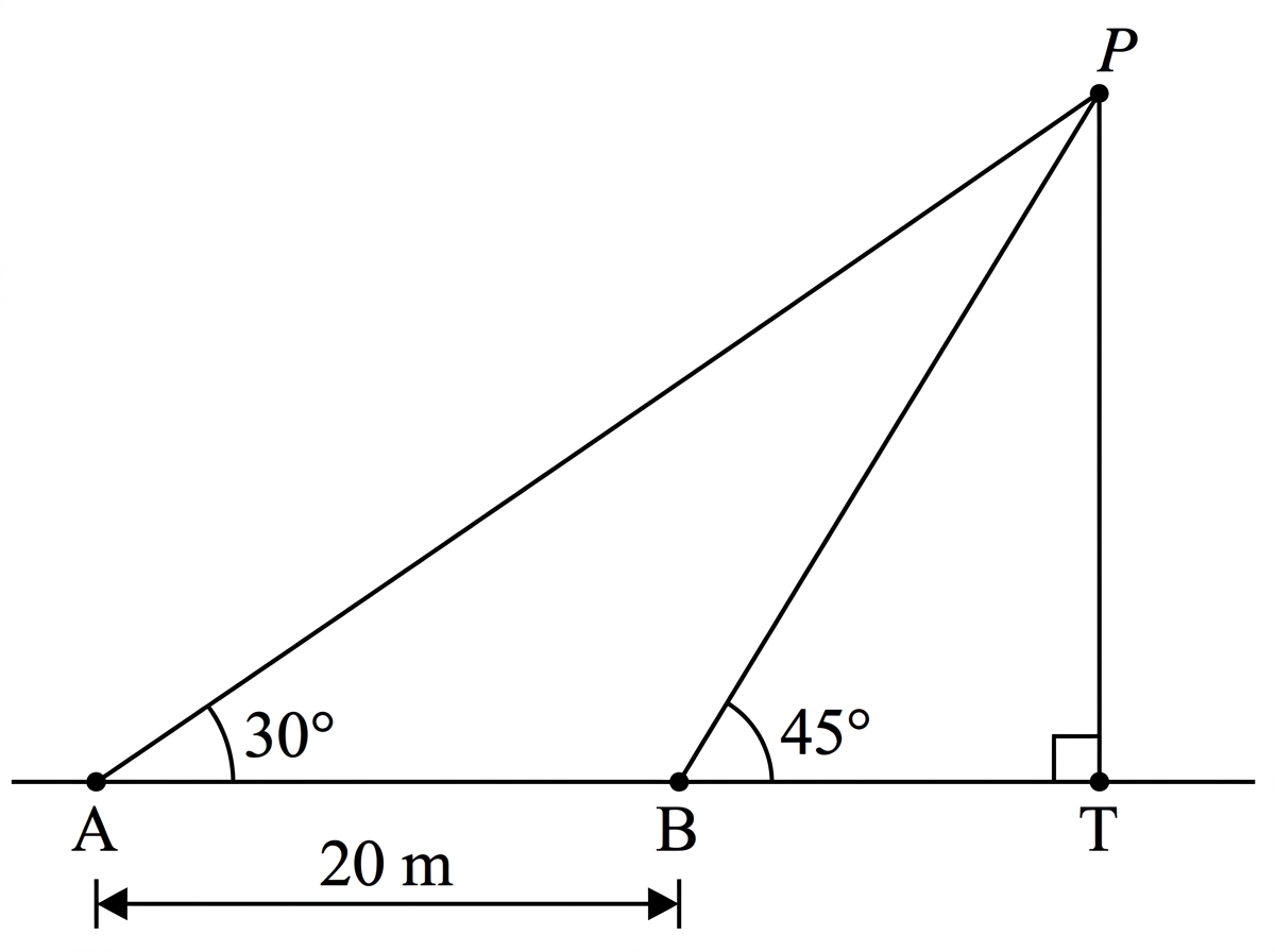 A side-view diagram showing horizontal ground line with points $A$, $B$, and $T$ in that order. A vertical tower rises from $T$ to its top $P$. The segment $AB$ is labelled $20\text{ m}$. Lines of sight $AP$ and $BP$ are drawn, making angles of elevation labelled $30^\circ$ at $A$ and $45^\circ$ at $B$.