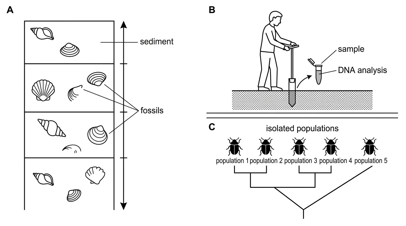 Shell Analysis Genome A4.2 Conservation of biodiversity (Paper 2) - IB Biology Question Bank ...