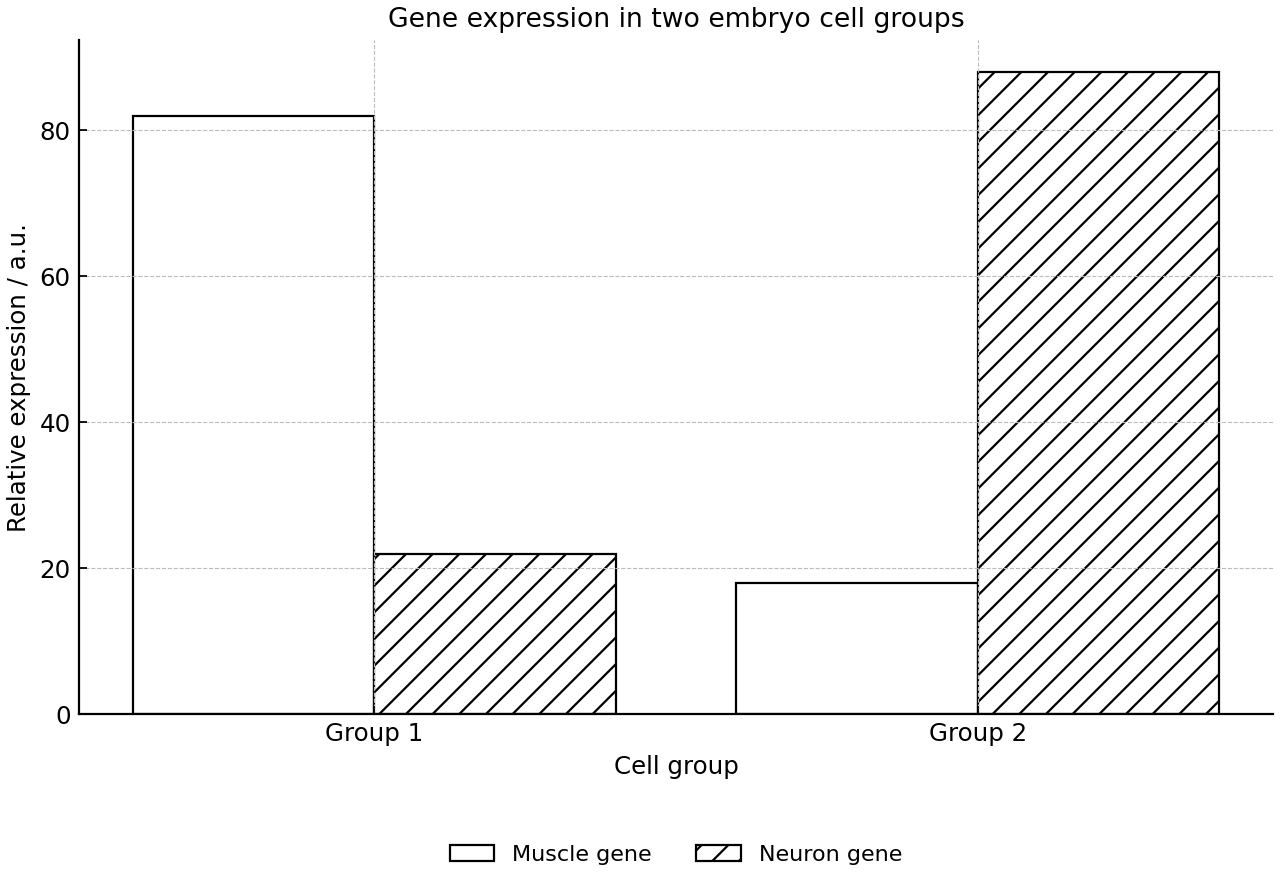 Clustered bar chart of relative expression of muscle- and neuron-associated genes in two embryo cell groups.