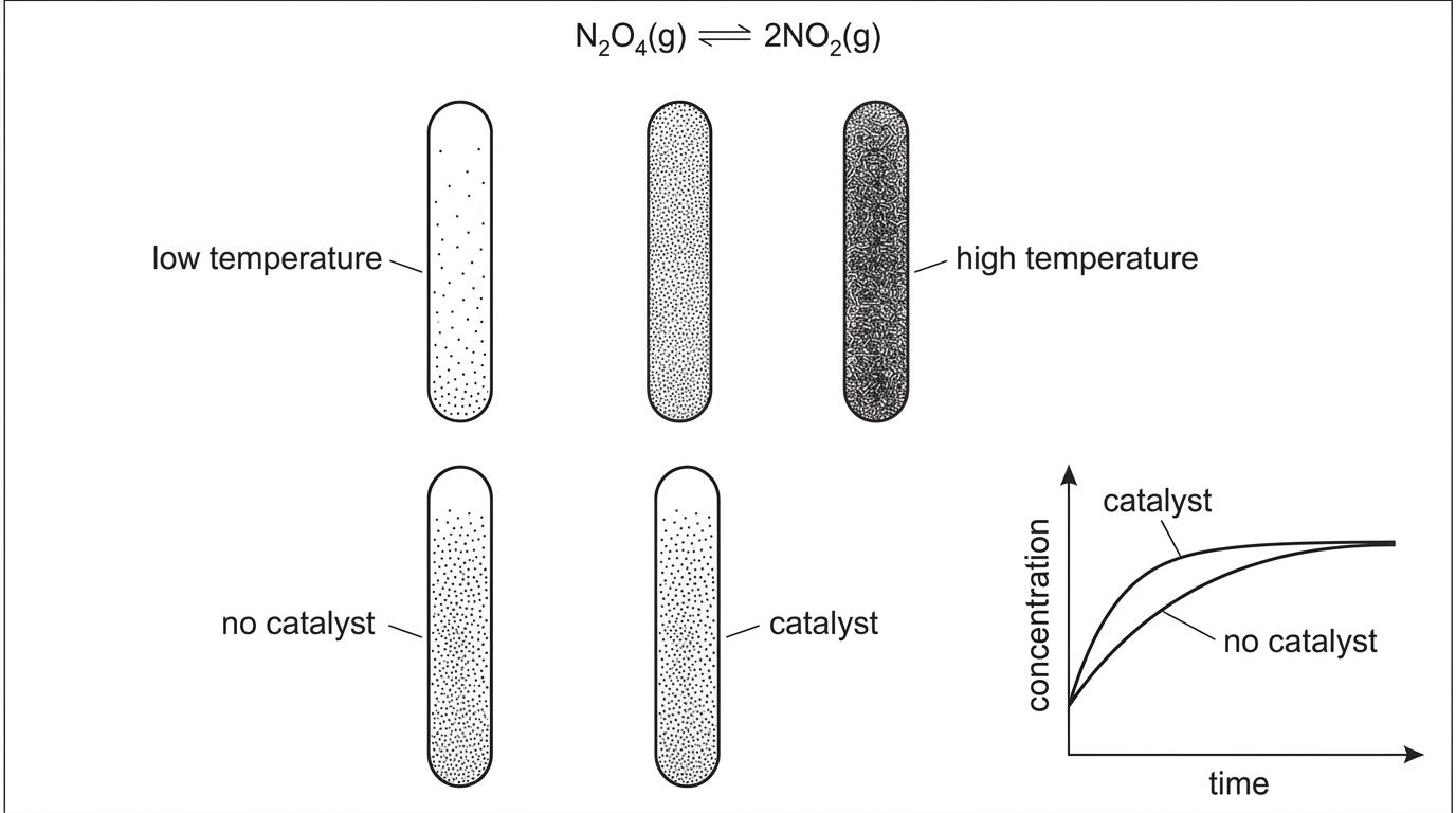 A set of annotated sealed tubes for the nitrogen dioxide dinitrogen tetroxide equilibrium. Tubes are labelled low temperature, high temperature, no catalyst and catalyst. Brown colour intensity is shown qualitatively, with high temperature darker than low temperature. A small concentration-time inset compares catalysed and uncatalysed samples reaching the same final equilibrium composition at different times.